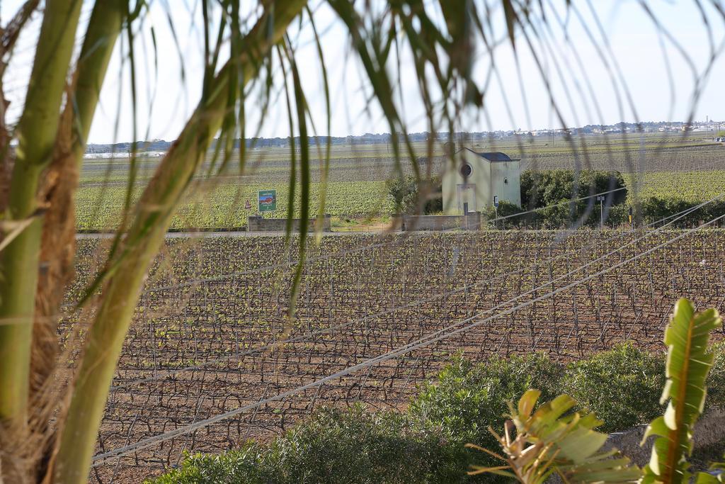 Eco Green La Vigna Leverano Bilik gambar