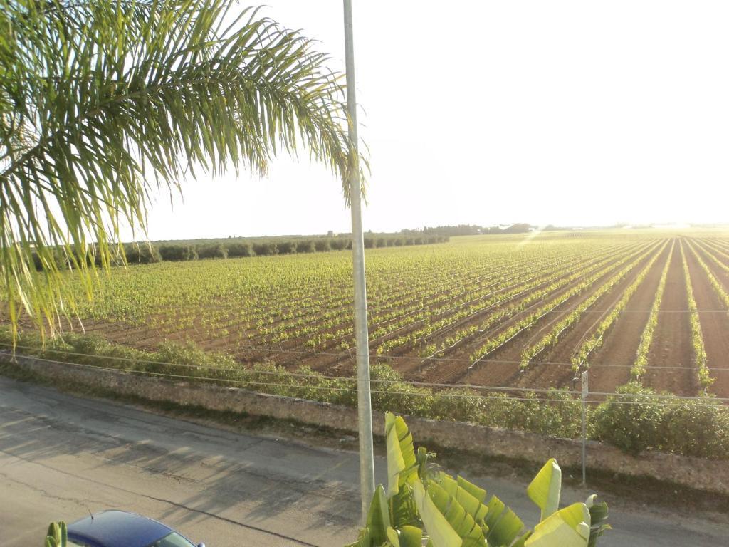 Eco Green La Vigna Leverano Bilik gambar